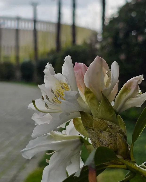 Квартира Новые апартаменты возле Парка Краснодар для замечательных гостей — Краснодар