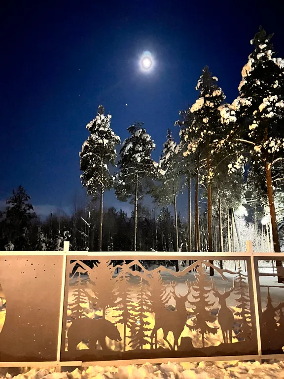 Стильный и уютный дом в пригороде города Сыктывкара