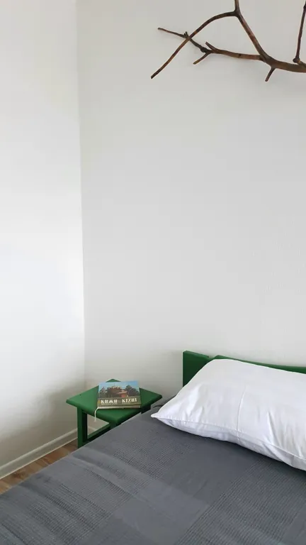 Стильная квартира рядом с Рускеала