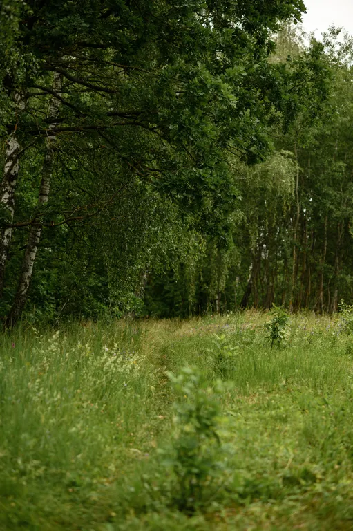 Дом с сауной на берегу реки