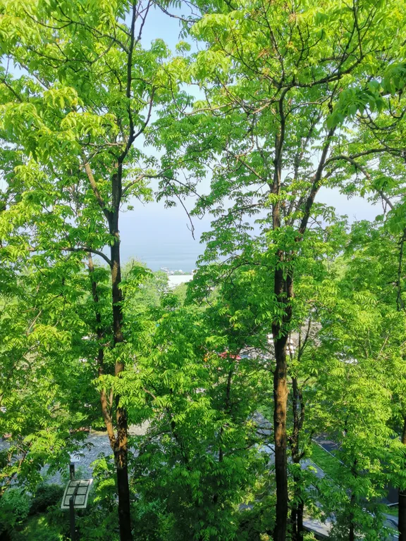 Квартира с видом на море