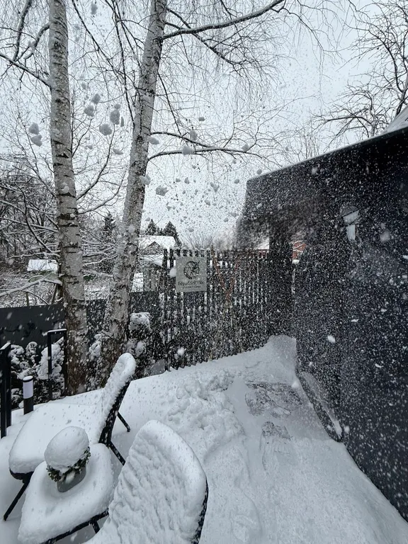 Новая сфера для глэмпинга Бёрд&Self vibe с дизайнерским интерьером