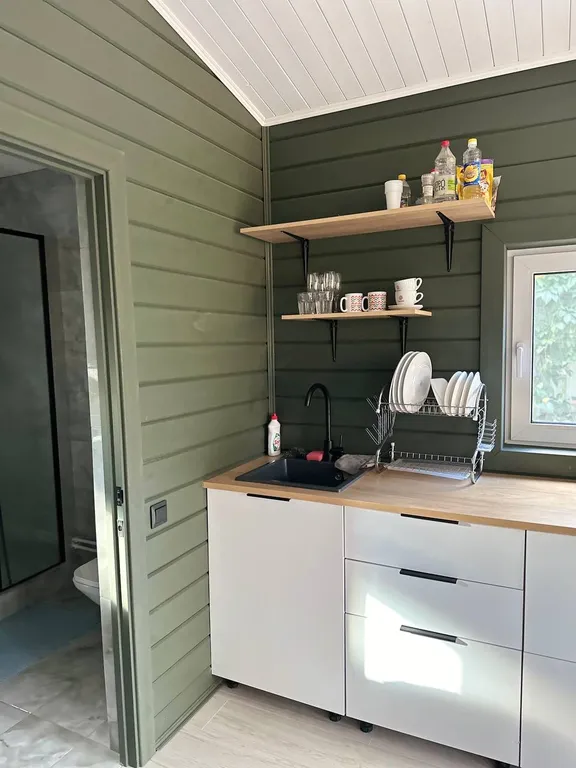 Дом в виде Барк-Хауз