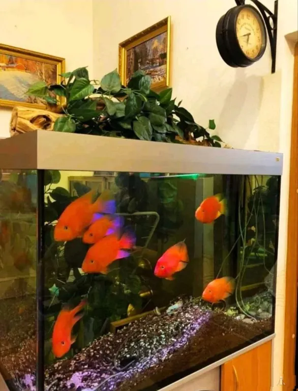 Центр. Тихо