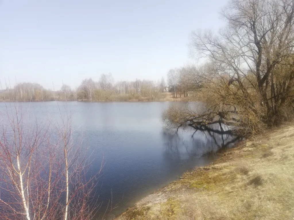 Домик в деревне