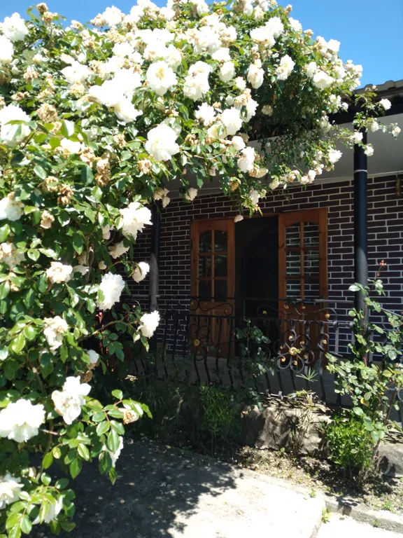 Квартира Частный сектор У Юры — аренда посуточно в Гудаута