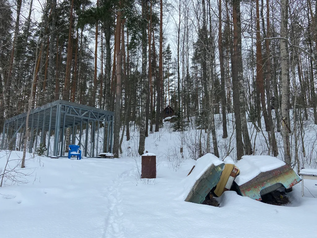 Хижина в лесу на берегу озера без соседей