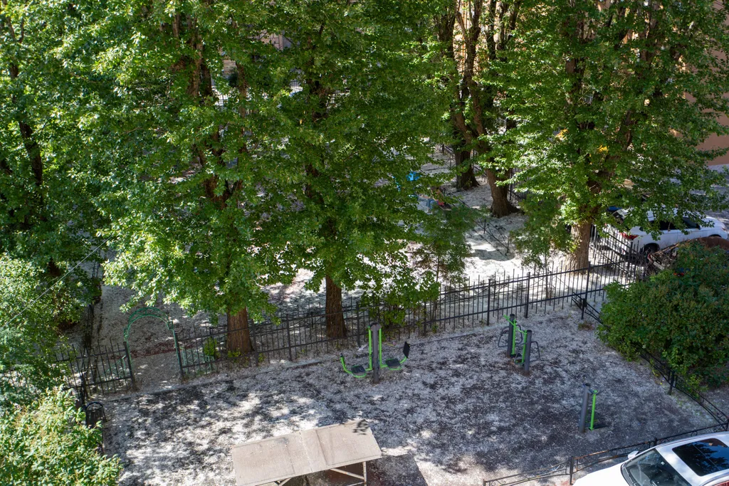 Квартира Комфортная квартира в сердце Петроградки — Санкт-Петербург