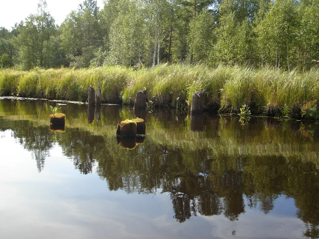 Коттедж Коттедж Селигерское — Березово