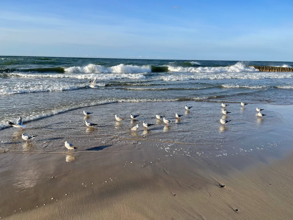 Orchid Relax Apartment