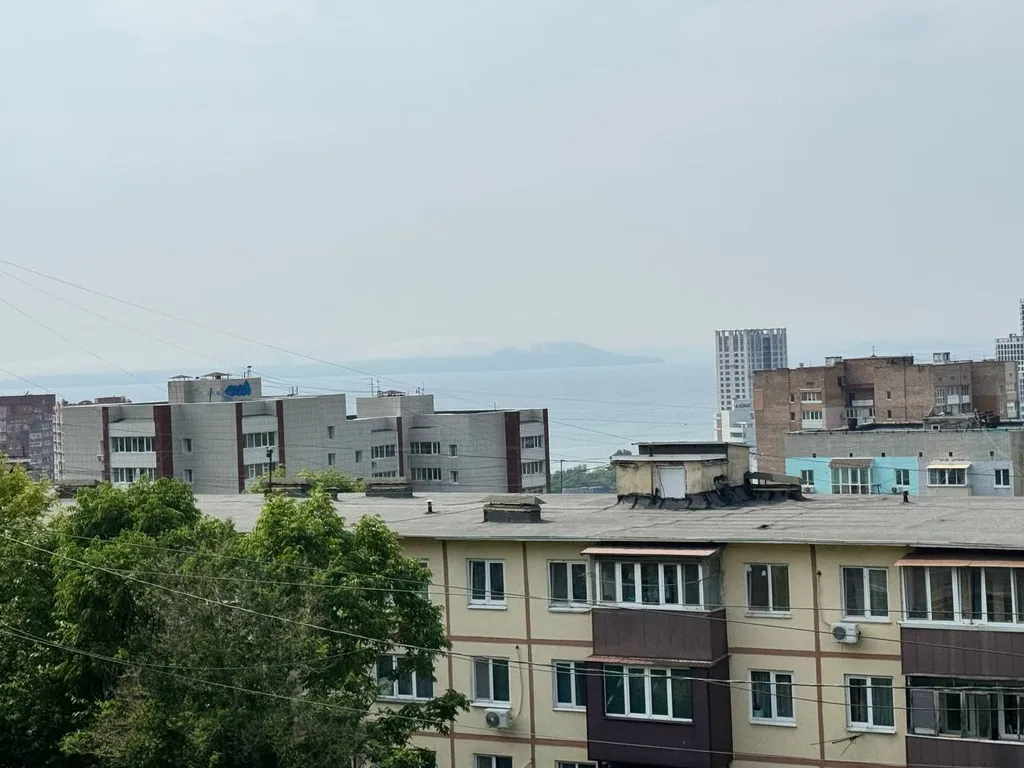Квартира Уютная квартира в центре города — Владивосток