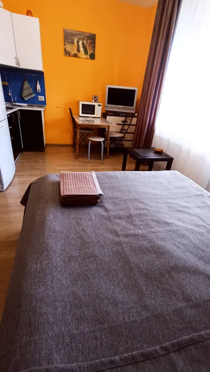 Уютная тихая квартира-студия