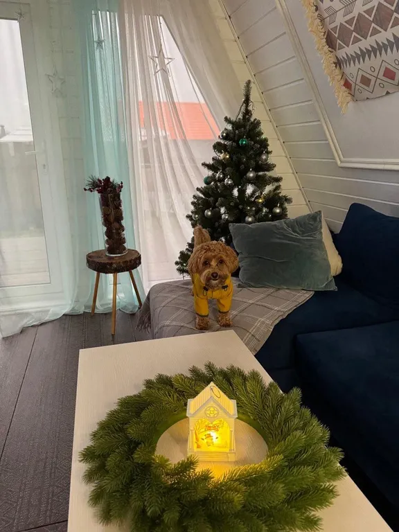 Дизайнерский коттедж Зима