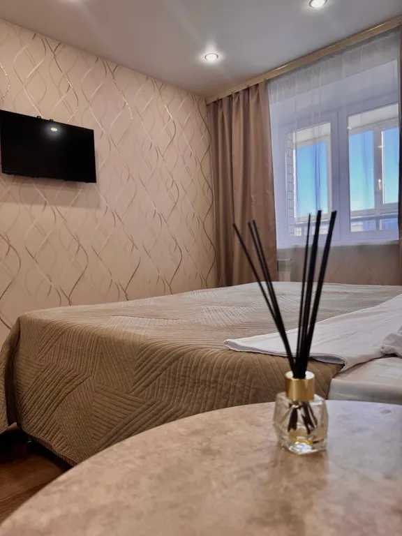 Уютная однокомнатная квартира в центре города