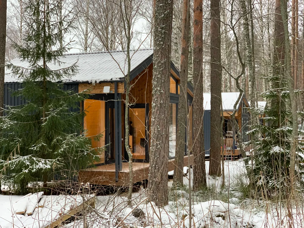 Дом с видом на лес