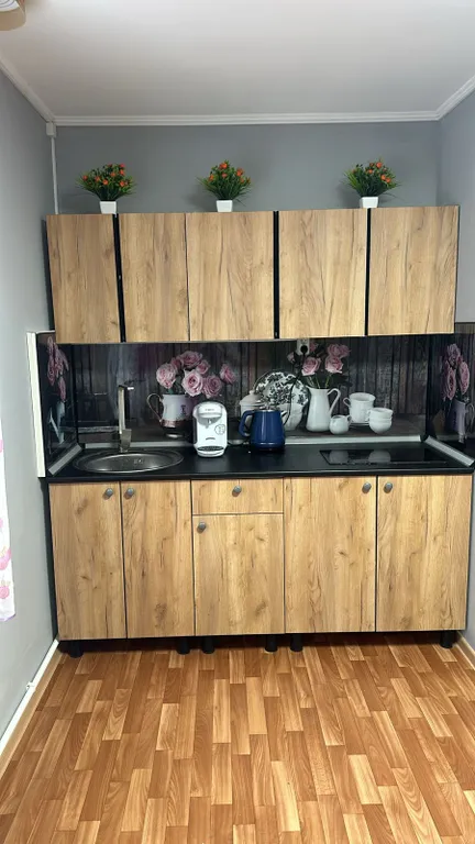 Уютная студия в центре города