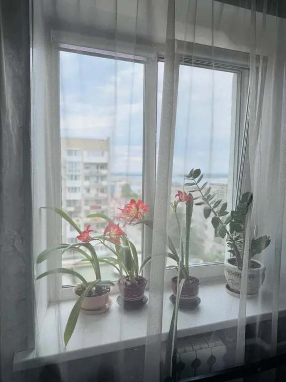 Уютная квартира в историческом центре с видом на Волгу