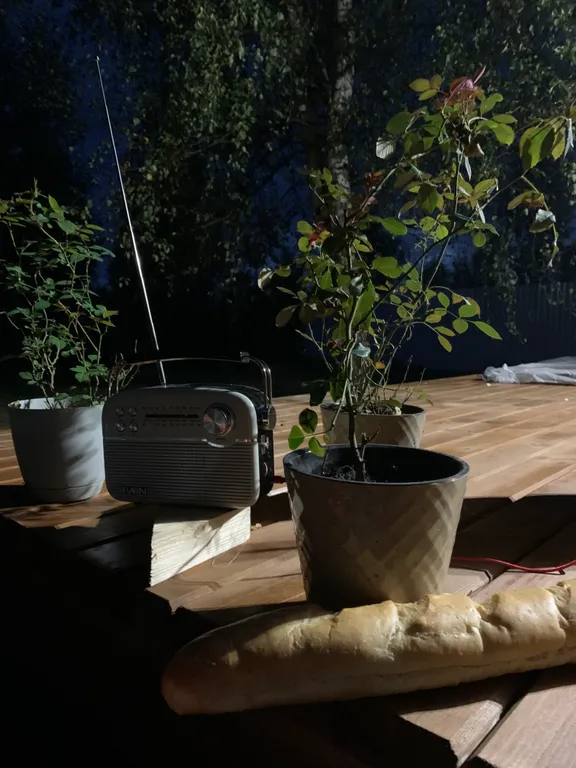 Уютный домик и баня