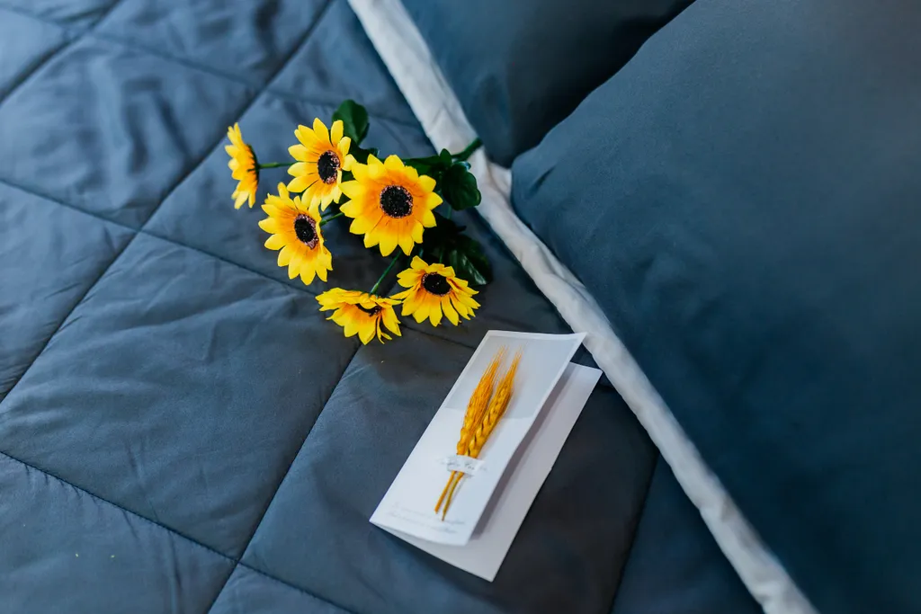 ⟡︎︎︎АльфаХоумПлюс⟡︎︎︎Сердце Челябинска⟡︎︎︎Отчетные Документы⟡︎︎︎