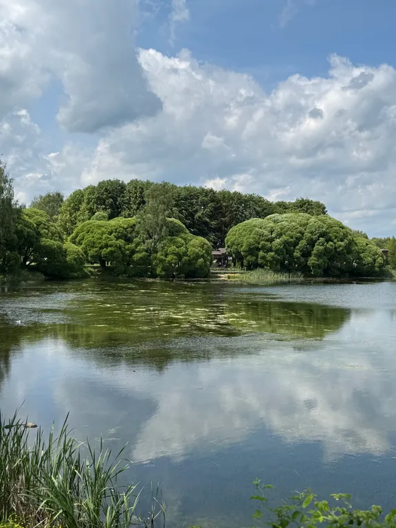 Квартира у пруда