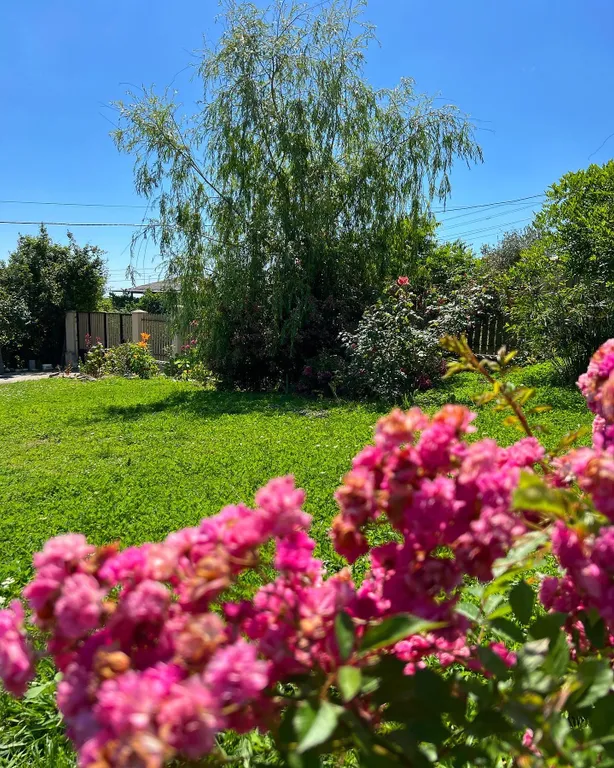 Тихий уголок