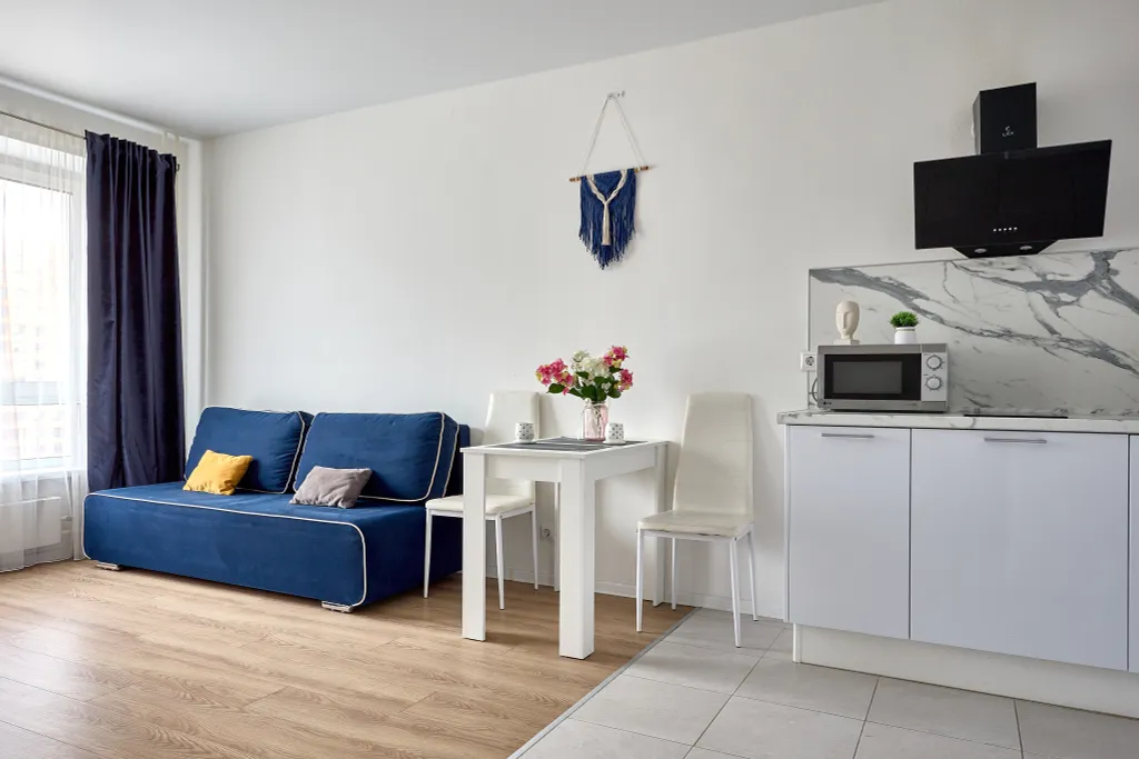 Евродвушка рядом с Аэропортом Внуково