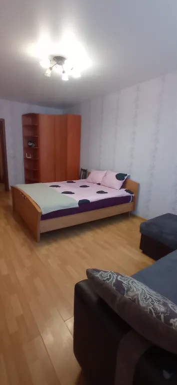 Уютная однокомнатная квартира