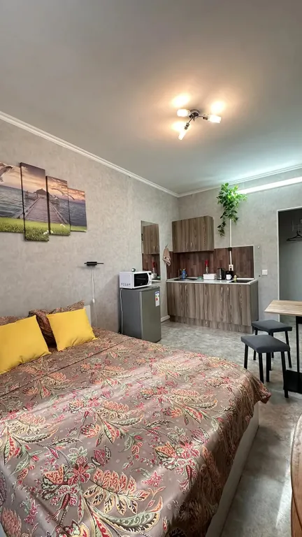 Квартира-студия, 20,4 м²