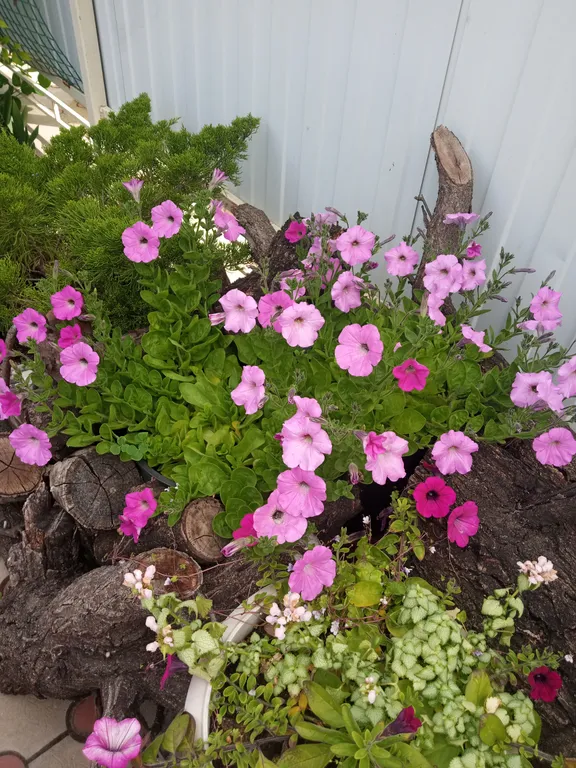 Уютная квартира-студия в центре города