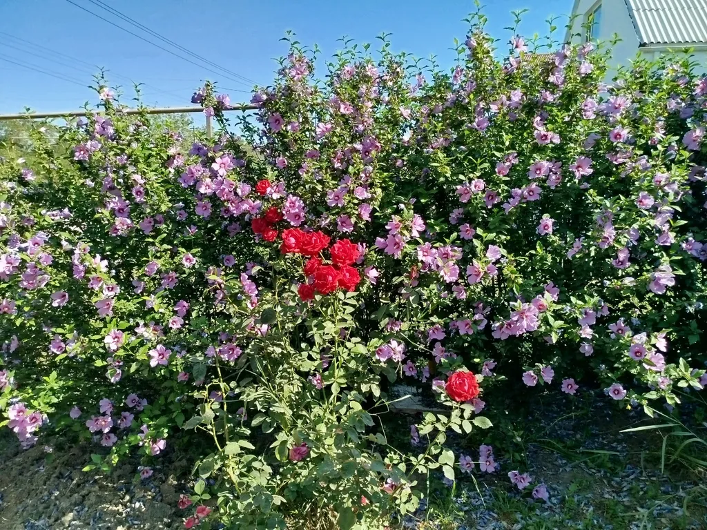 Бунгало для большой семьи с бассейном