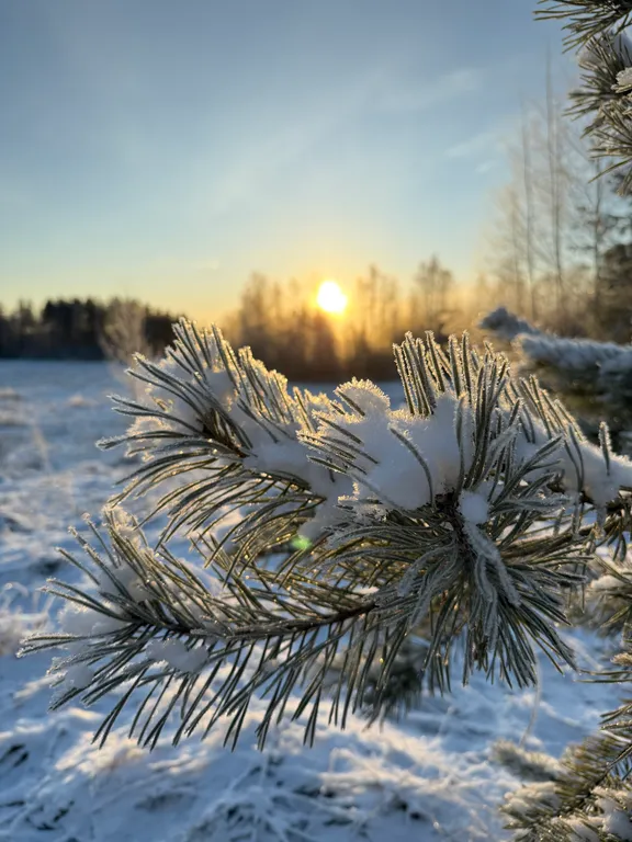 Загородный дом с баней и чаном