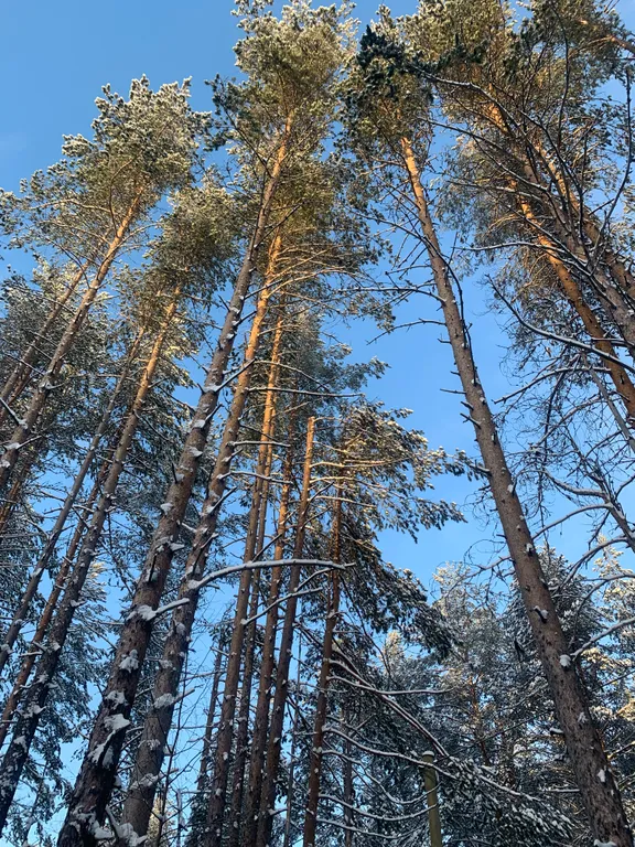 Мини дом Hitta