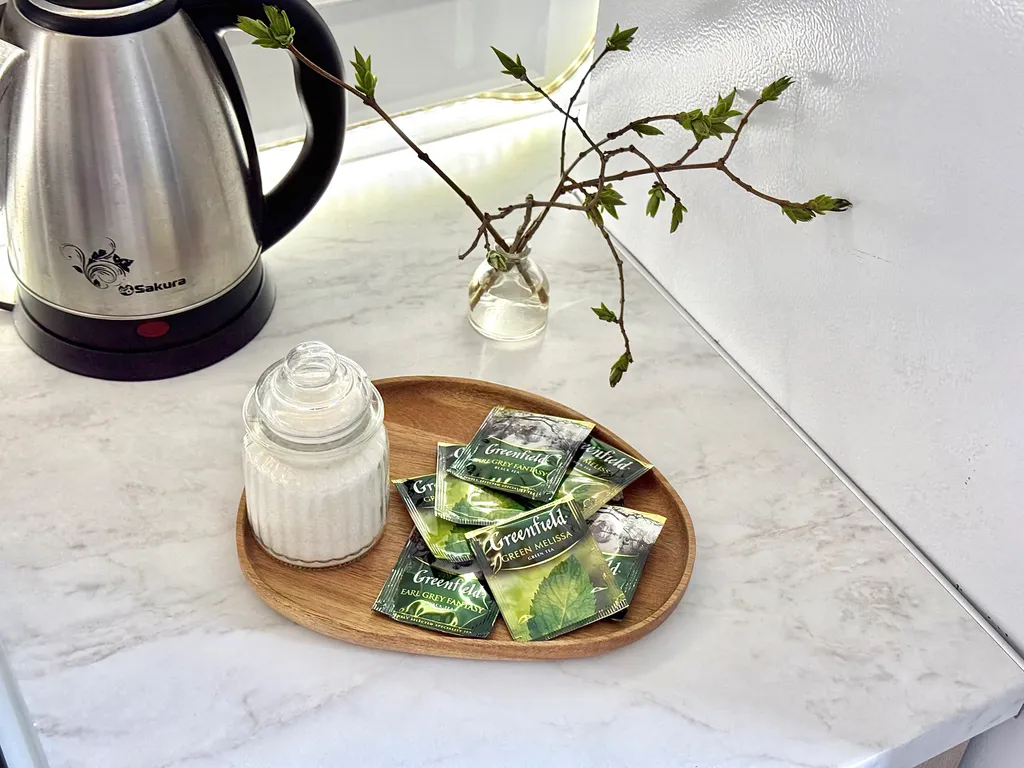 Квартира 1-комнатная Квартира — Светлогорск