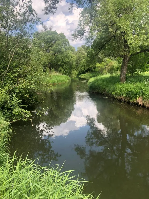 Дом под Боровском