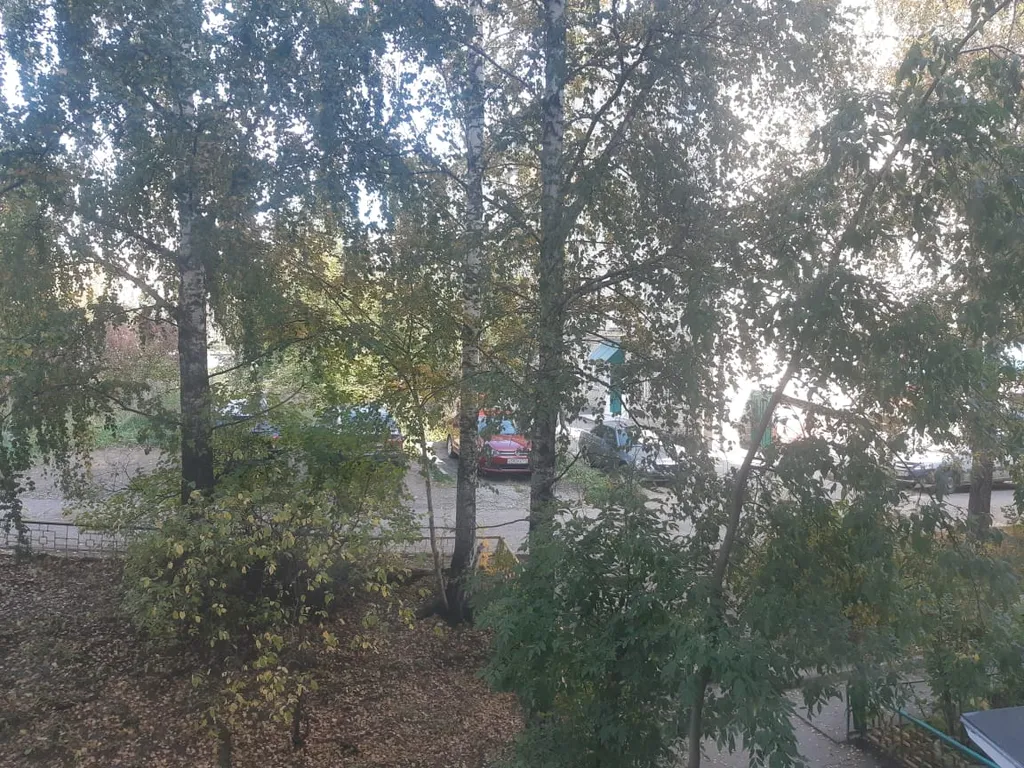 Уютный стандарт в сердце Златоуста