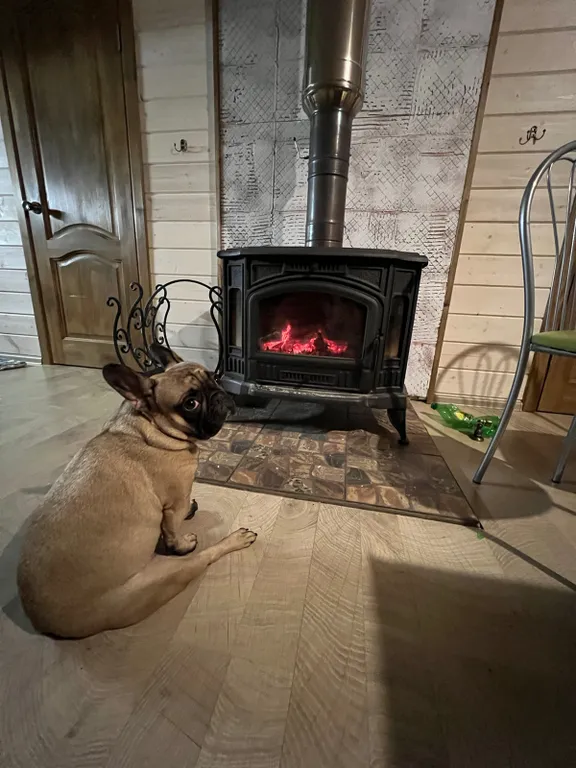 Коттедж Уютный большой дом для дружных компаний — Запорожское