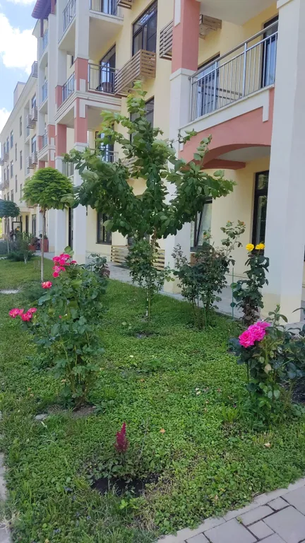 Уютная студия с видом на бассейны и горы