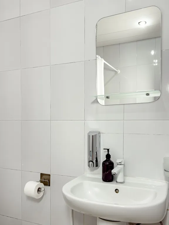 Квартира 1-комнатная Квартира — Сириус