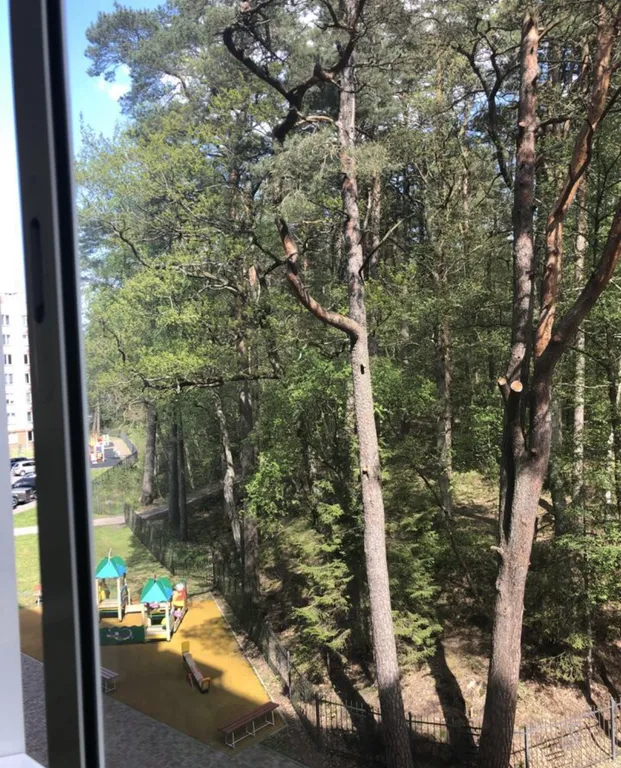 Уютная квартира у озера с видом на лес