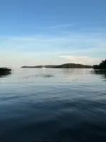 Алена