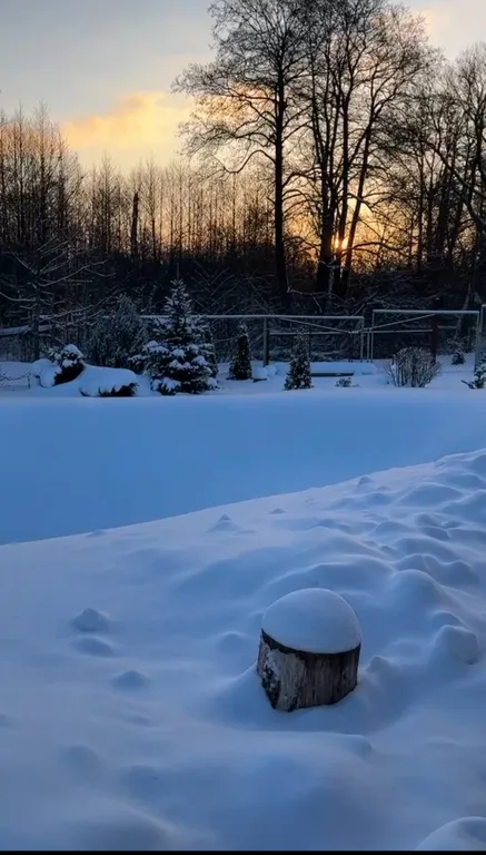 Агроусадьба с баней, на реке Птичь под Минском, с прудом