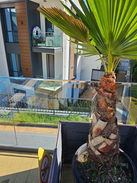 Квартира 1-комнатная Квартира — Сочи