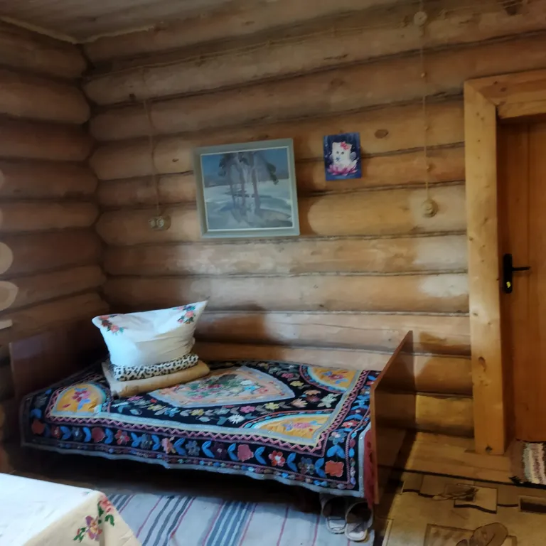 Домик в селе