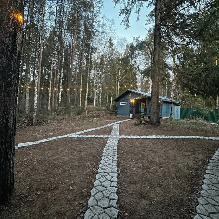 Дом в черте города в лесу