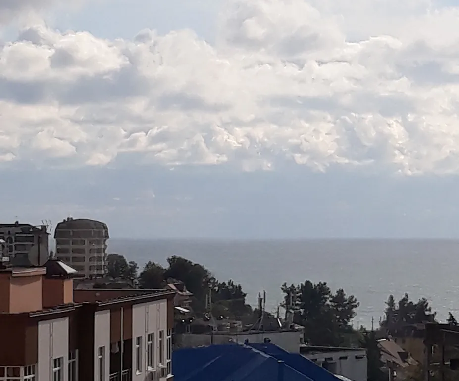 Квартира 1-комнатная Квартира — Сочи