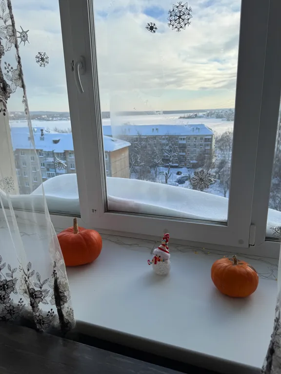 Квартира с видом на пруд