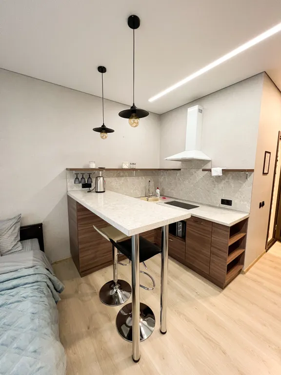 Апартамент с видом на реку Волхов