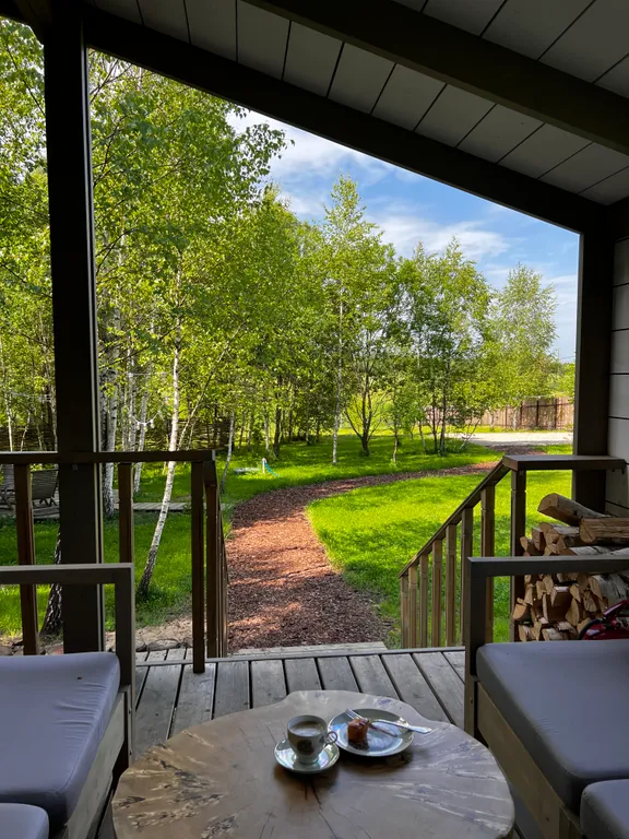 Гостевой дом в березовой роще