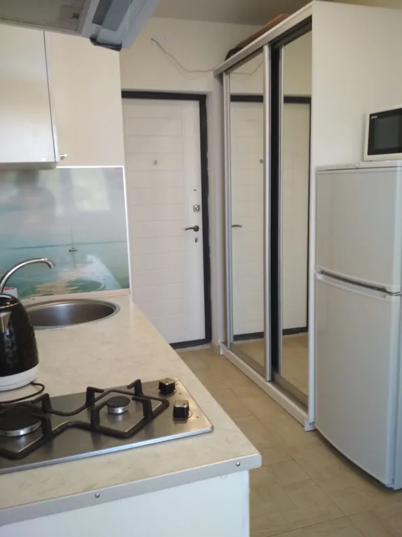 Квартира 1-комнатная Квартира — Адлер