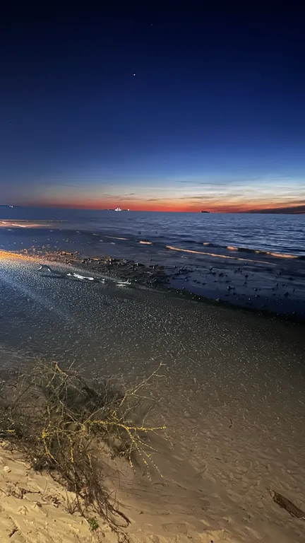 Уютная квартира на побережье Зеленоградска